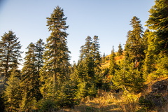 Грузия, Аджария